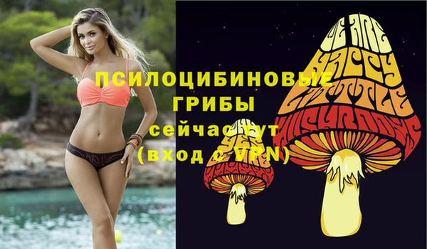мяу мяу мука Баксан